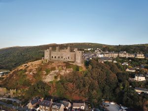 Royal St Davids Castle Trees